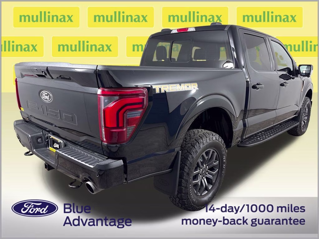 2024 Agate Black Metallic Ford F-150 Tremor 4X4 Truck