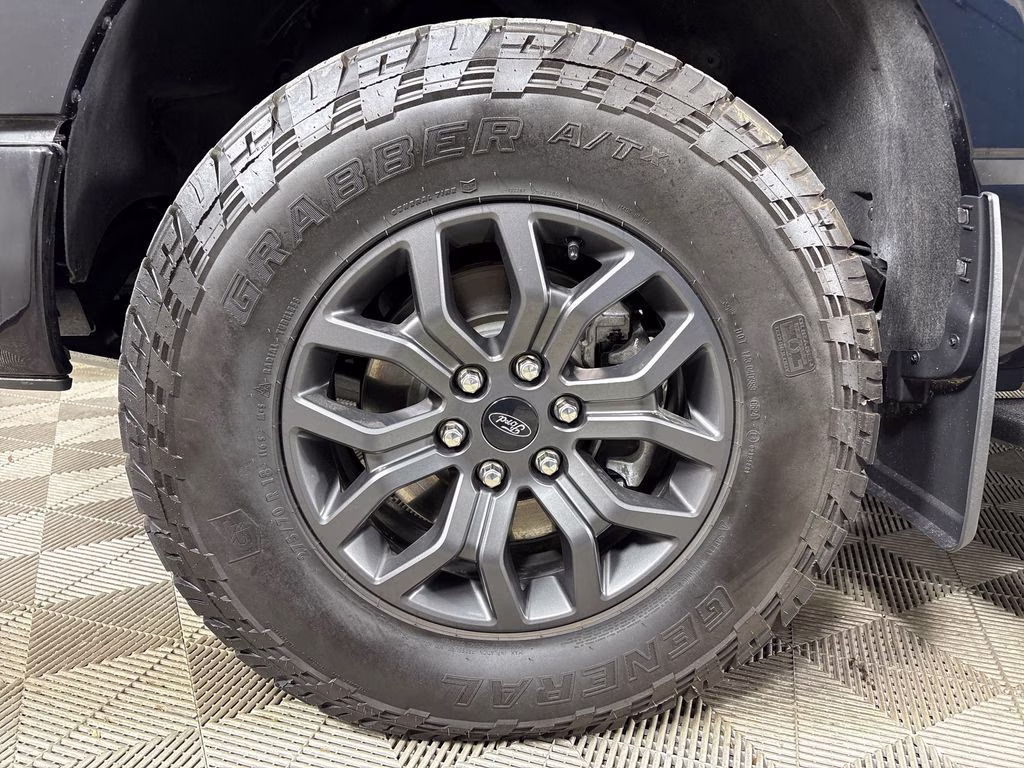 2024 Agate Black Metallic Ford F-150 Tremor 4X4 Truck