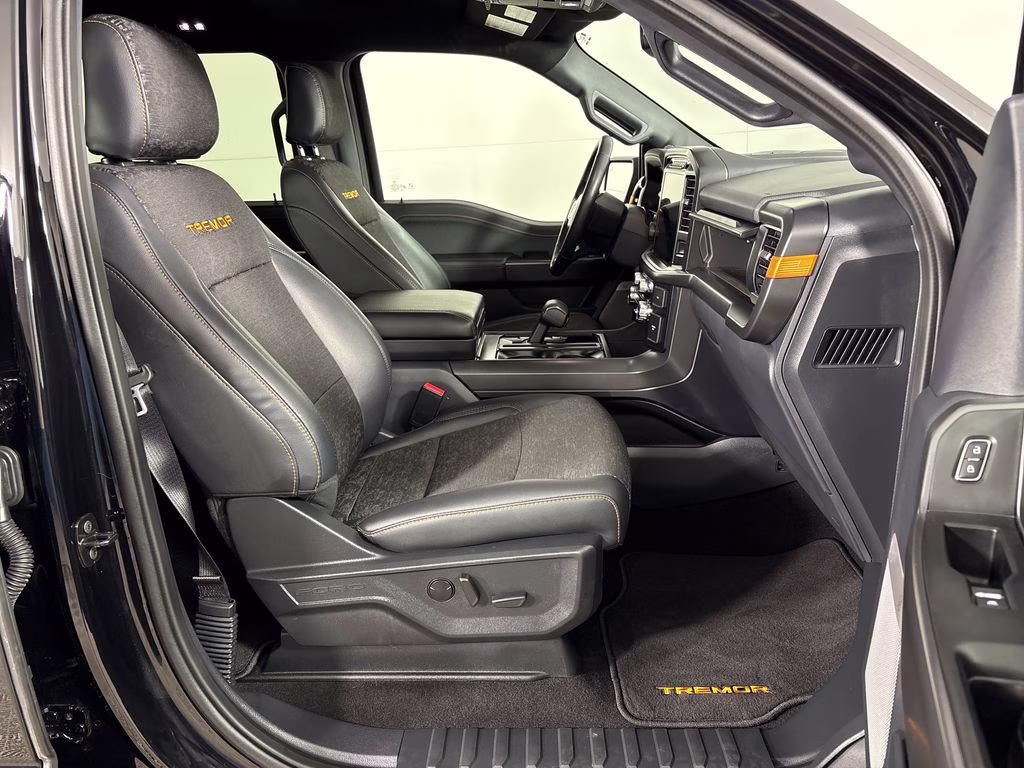2024 Agate Black Metallic Ford F-150 Tremor 4X4 Truck