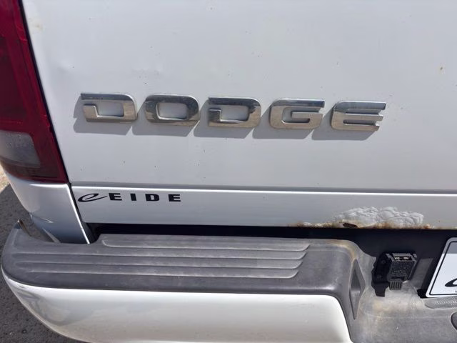 2002 Bright White Clearcoat Dodge Ram 1500 SLT 4X4 Truck