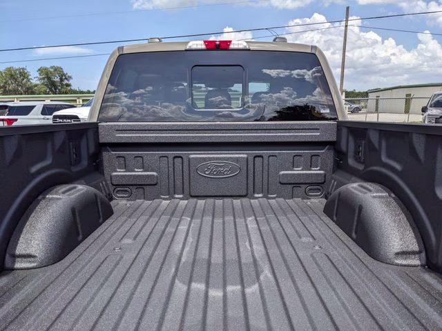 2026 Marsh Gray Ford F-150 Platinum 4X4 Truck