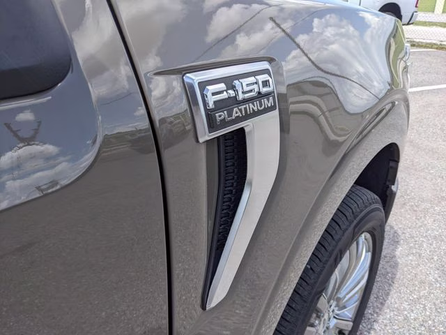 2026 Marsh Gray Ford F-150 Platinum 4X4 Truck