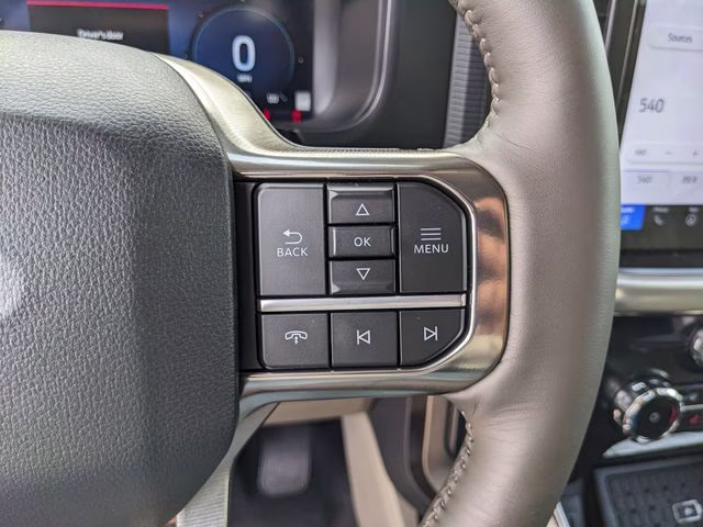 2026 Marsh Gray Ford F-150 Platinum 4X4 Truck