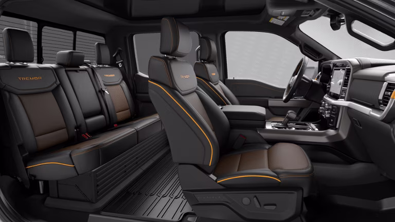 2026 Carbonized Gray Metallic Ford F-150 Tremor 4X4 Truck