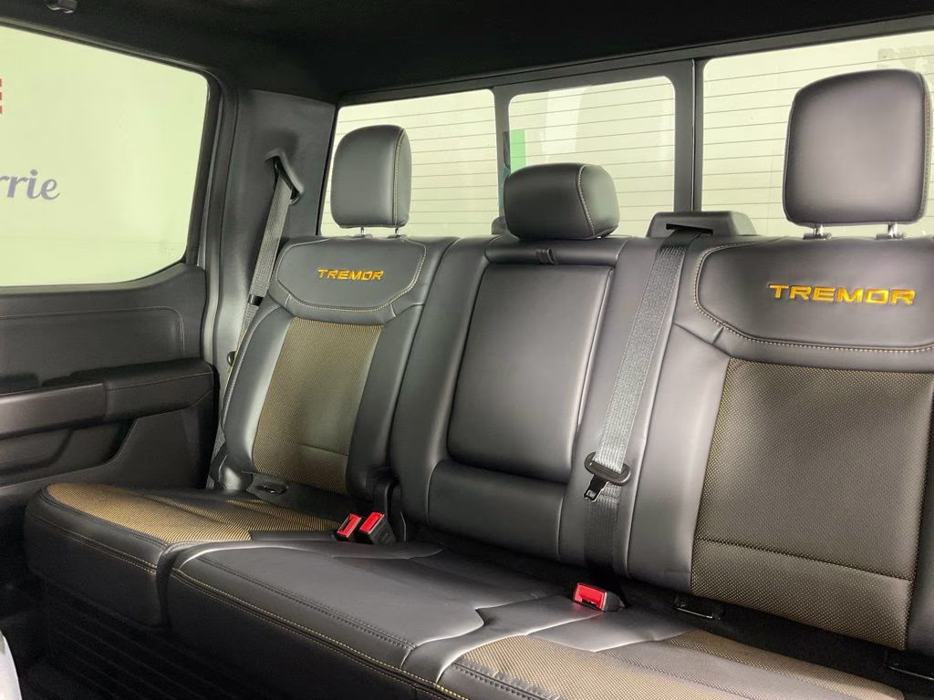 2026 Gray Metallic Ford F-150 Tremor 4X4 Truck