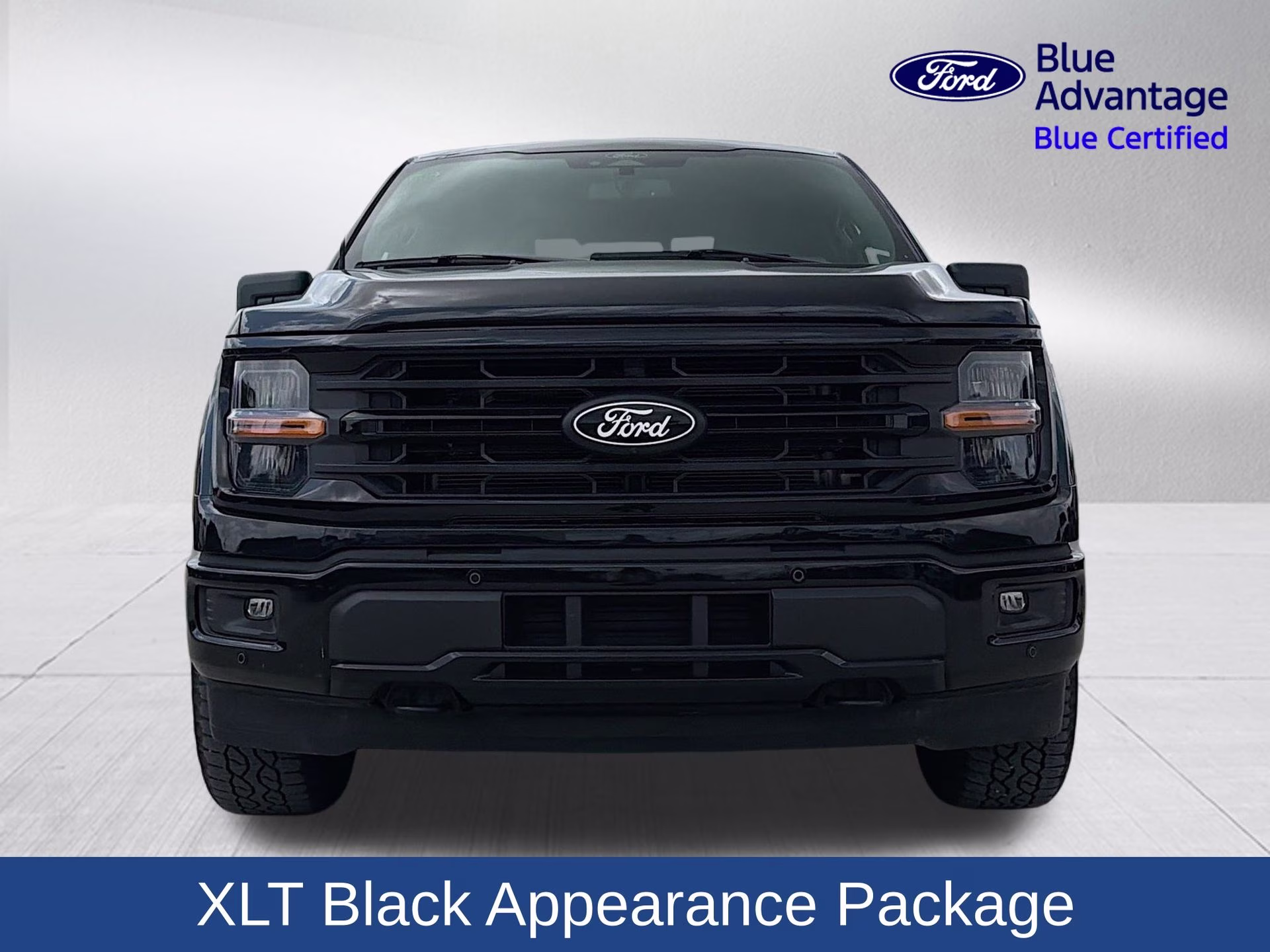2024 Agate Black Metallic Ford F-150 XLT 4X4 Truck