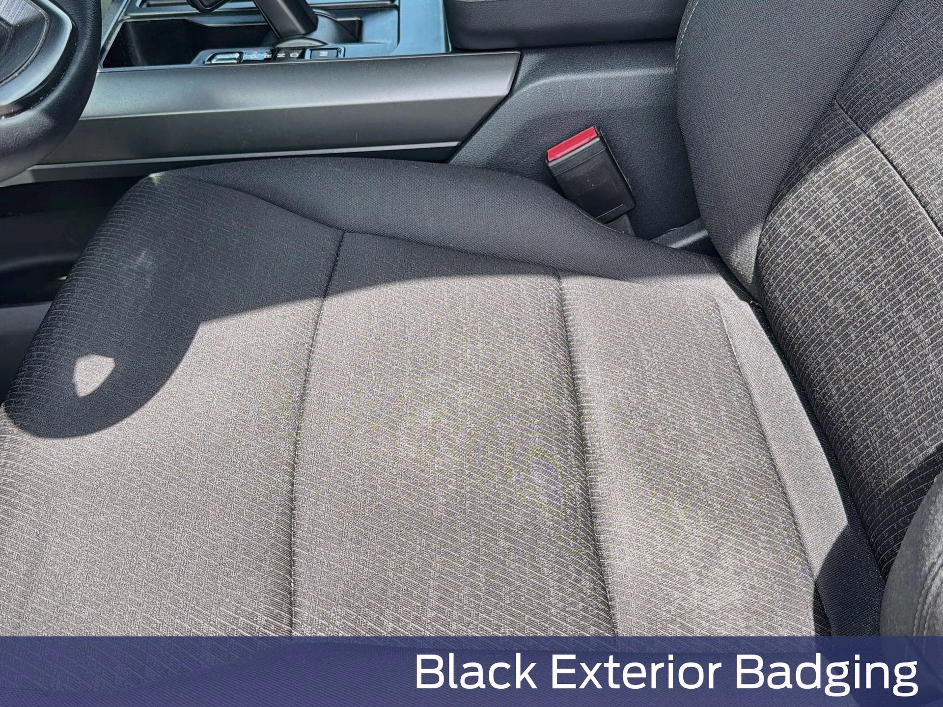2024 Agate Black Metallic Ford F-150 XLT 4X4 Truck