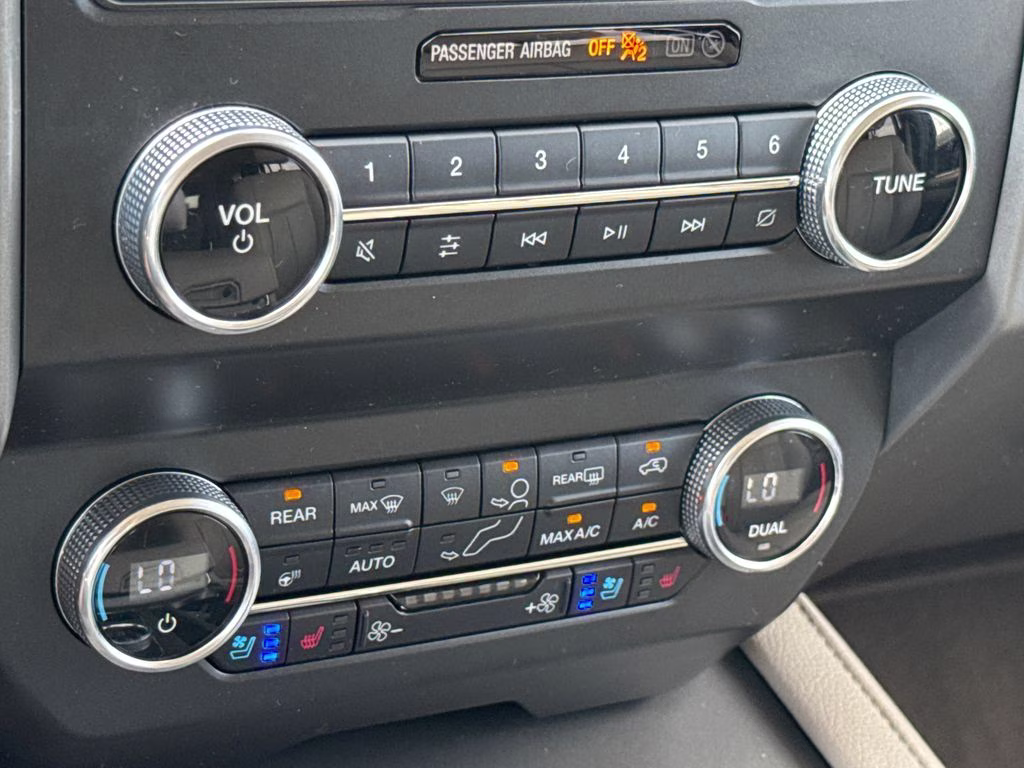 2020 Blue Metallic Ford Expedition XLT RWD SUV