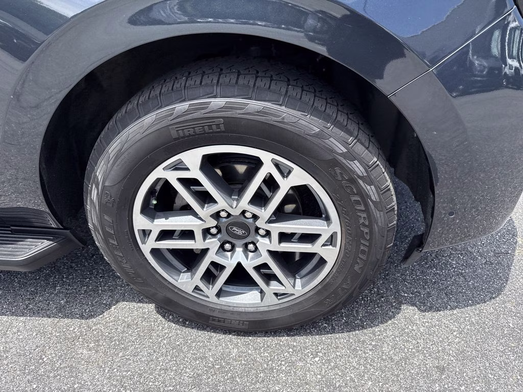 2025 Blue Metallic Ford Expedition Active 4X4 SUV