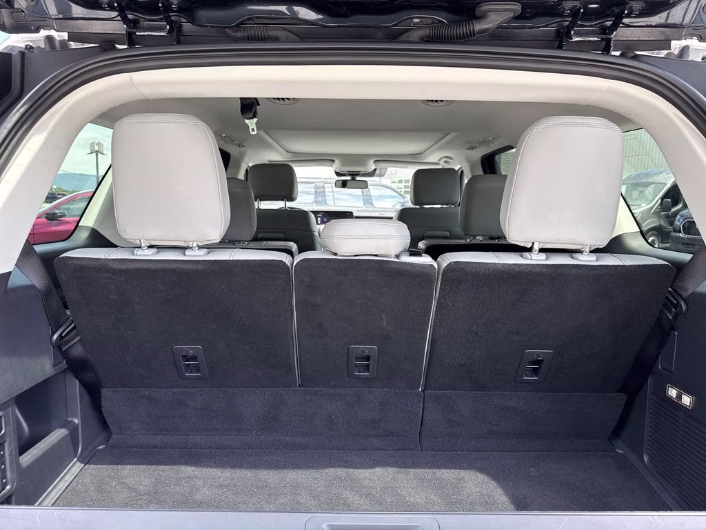 2025 Blue Metallic Ford Expedition Active 4X4 SUV