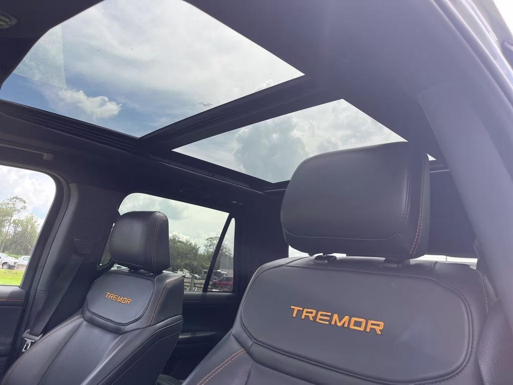 2025 Gray Metallic Ford Expedition Tremor 4X4 SUV