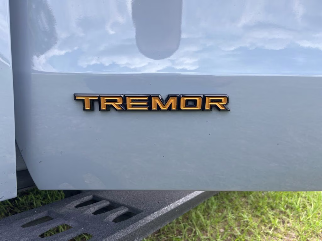 2025 Gray Metallic Ford Expedition Tremor 4X4 SUV