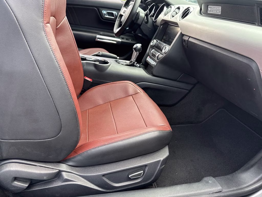 2015 Magnetic Metallic Ford Mustang EcoBoost Premium RWD Convertible