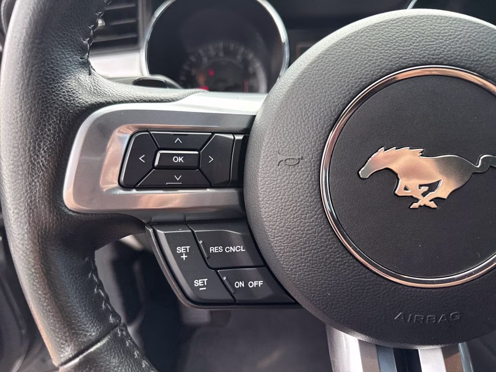 2015 Magnetic Metallic Ford Mustang EcoBoost Premium RWD Convertible