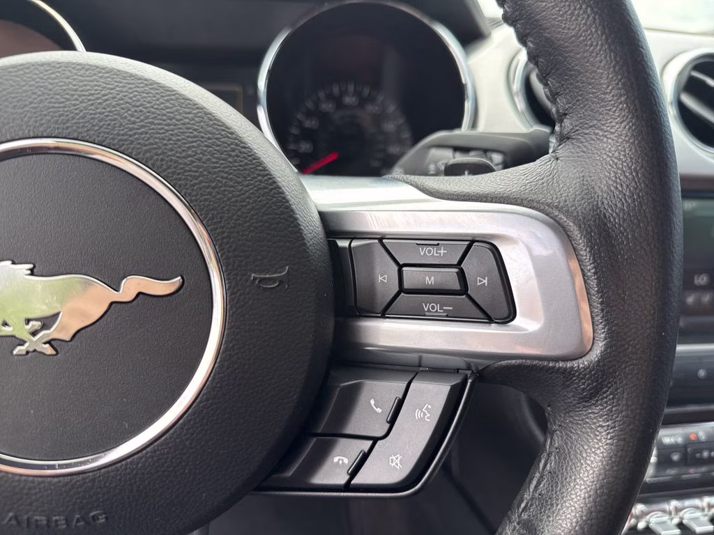 2015 Magnetic Metallic Ford Mustang EcoBoost Premium RWD Convertible