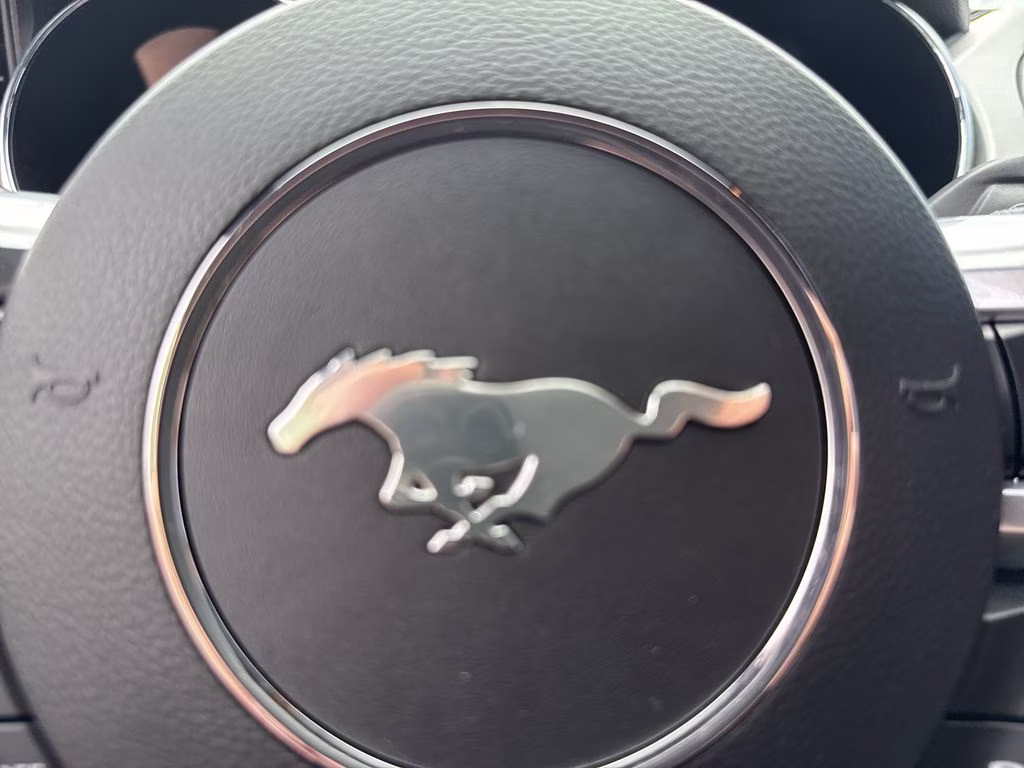 2015 Magnetic Metallic Ford Mustang EcoBoost Premium RWD Convertible
