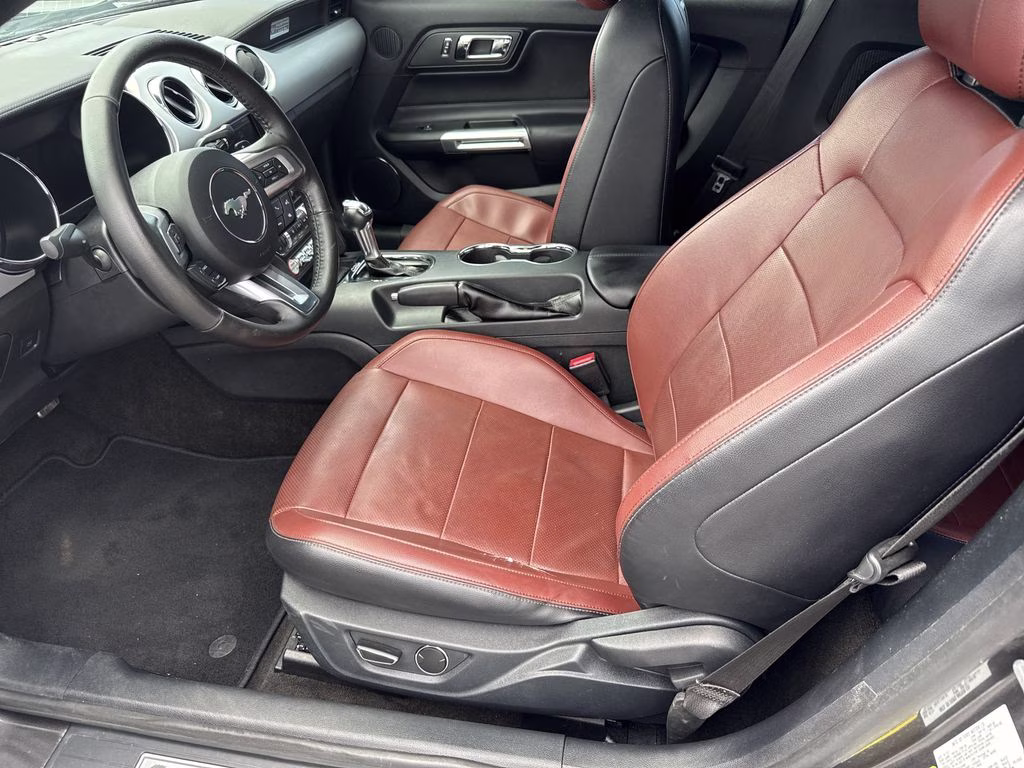 2015 Magnetic Metallic Ford Mustang EcoBoost Premium RWD Convertible