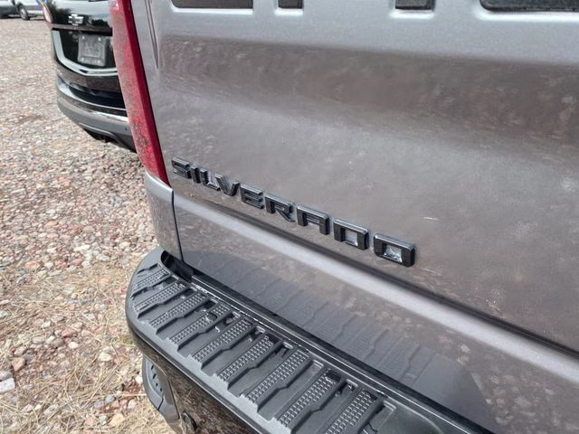2020 Satin Steel Metallic Chevrolet Silverado 1500 LT Trail Boss 4X4 Truck