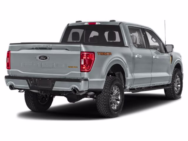 2023 Avalanche Ford F-150 Tremor 4X4 Truck