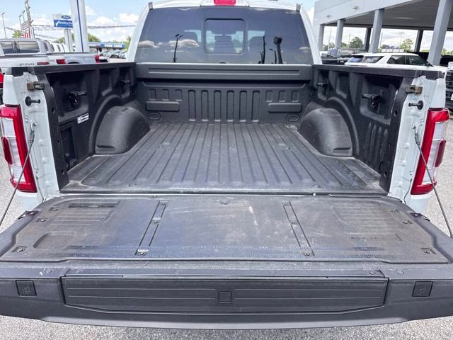 2023 Avalanche Ford F-150 Platinum 4X4 Truck