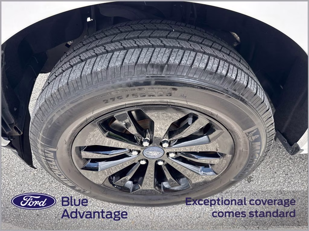 2019 Oxford White Ford F-150 STX RWD Truck