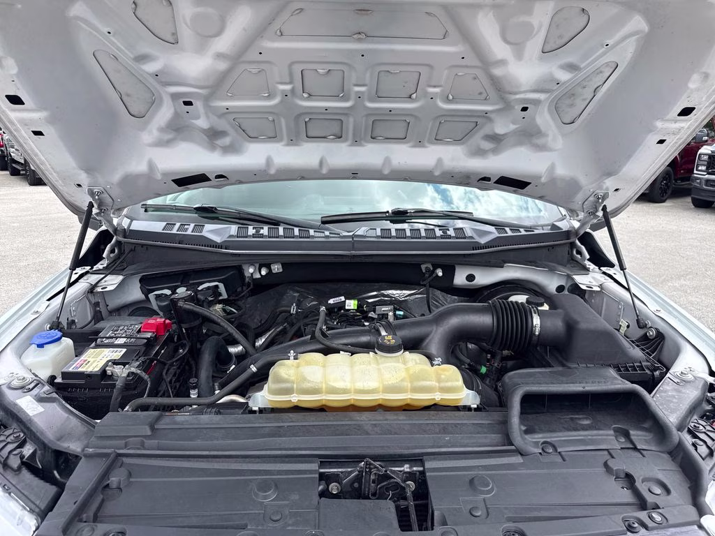 2019 Oxford White Ford F-150 STX RWD Truck