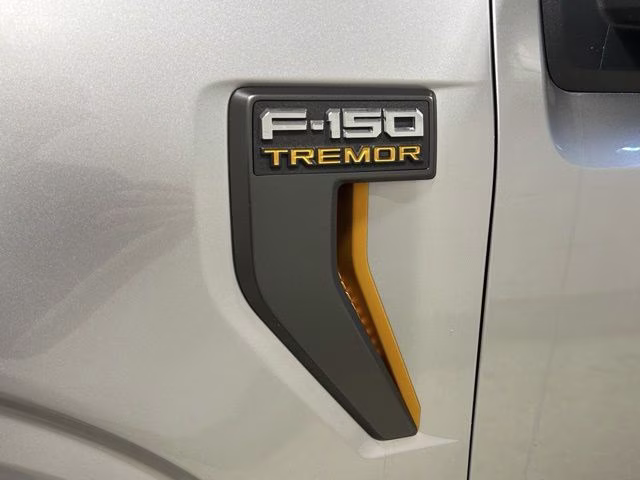 2025 Iconic Silver Metallic Ford F-150 Tremor 4X4 Truck