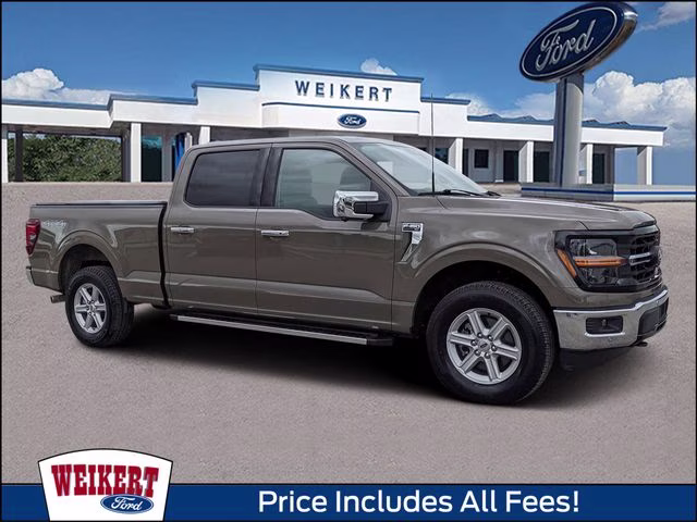2025 Gray Ford F-150 XLT 4X4 Truck