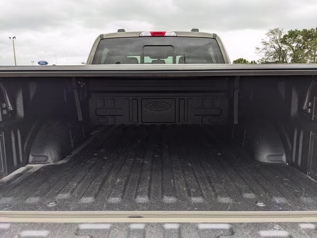2025 Gray Ford F-150 XLT 4X4 Truck