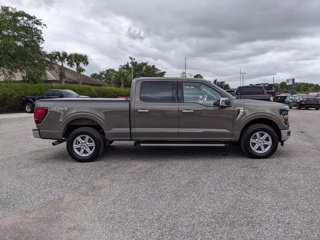 2025 Gray Ford F-150 XLT 4X4 Truck