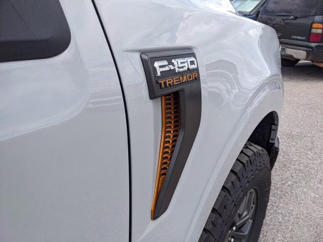 2026 Avalanche Ford F-150 Tremor 4X4 Truck