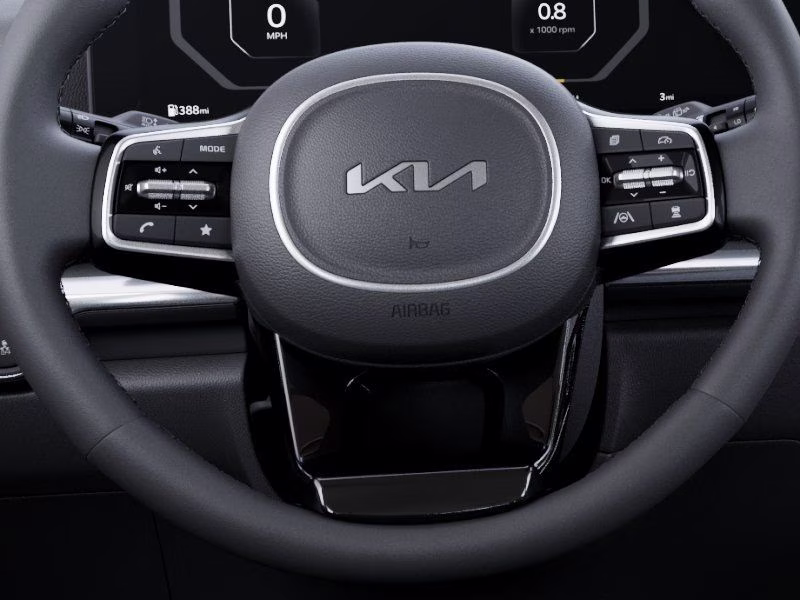 2026 Panthera Metal Kia Carnival SX Prestige FWD Van