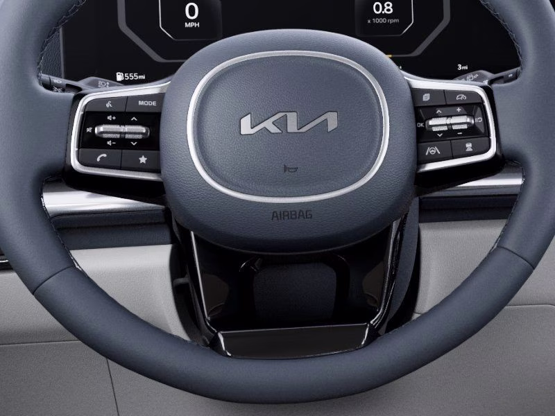 2026 Panthera Metal Kia Carnival Hybrid SX Prestige FWD Van