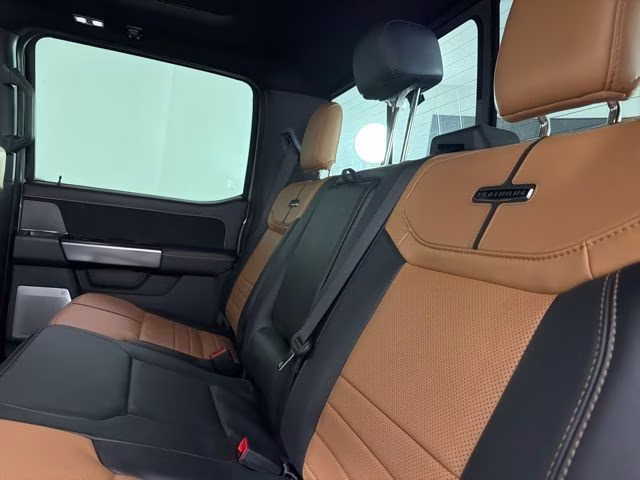 2024 Gray Ford Super Duty F-350 SRW Platinum 4X4 Truck