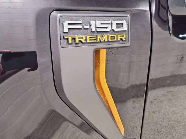 2026 Agate Black Metallic Ford F-150 Tremor 4X4 Truck