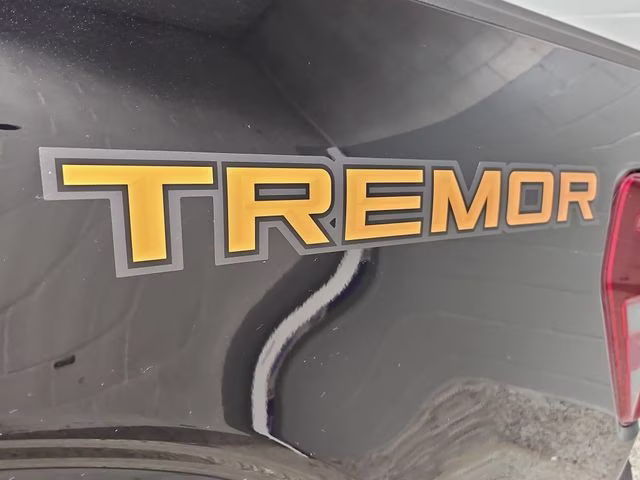 2026 Agate Black Metallic Ford F-150 Tremor 4X4 Truck
