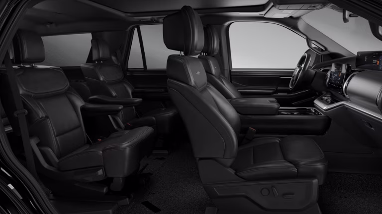 2026 Agate Black Metallic Ford Expedition Platinum 4X4 Regular