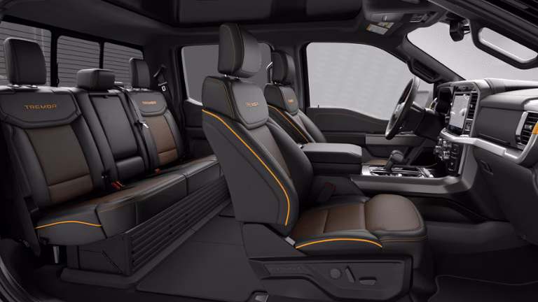 2026 Agate Black Metallic Ford F-150 Tremor 4X4 Truck