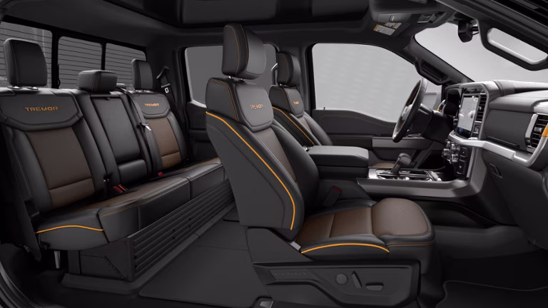 2026 Agate Black Metallic Ford F-150 Tremor 4X4 Truck