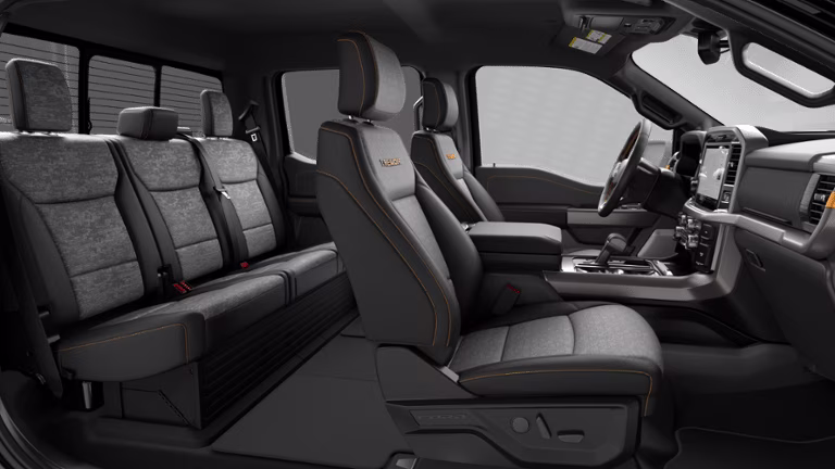 2026 Agate Black Metallic Ford F-150 Tremor 4X4 Truck