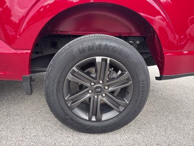 2021 Rapid Red Metallic Tinted Clearcoat Ford F-150 XLT Crew Cab Pickup RWD Truck