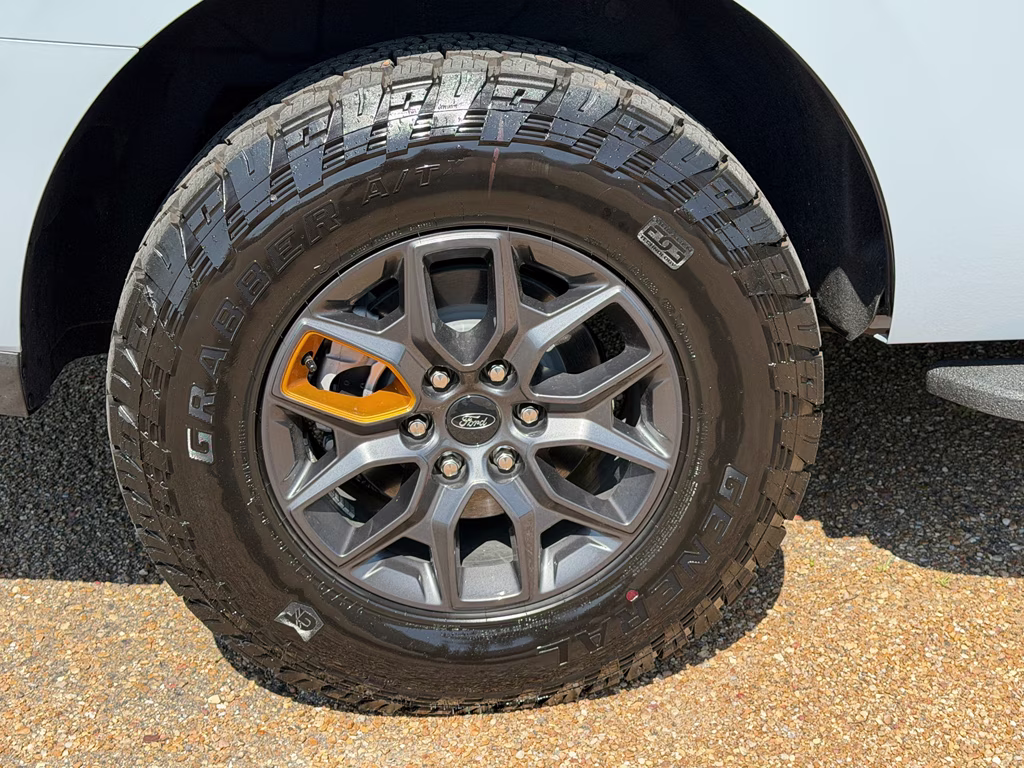 2025 Glacier Gray Metallic TriCoat Ford Expedition Tremor 4X4 SUV