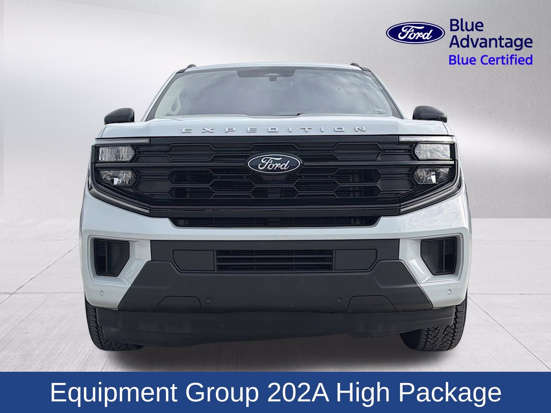 2025 Space Silver Metallic Ford Expedition Active 4X4 SUV