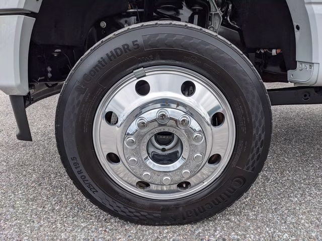 2025 Avalanche Ford Super Duty F-450 DRW Platinum 4X4 Truck