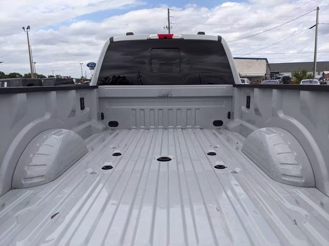 2025 Avalanche Ford Super Duty F-450 DRW Platinum 4X4 Truck