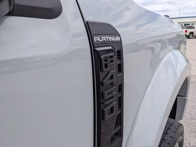 2025 Avalanche Ford Super Duty F-450 DRW Platinum 4X4 Truck
