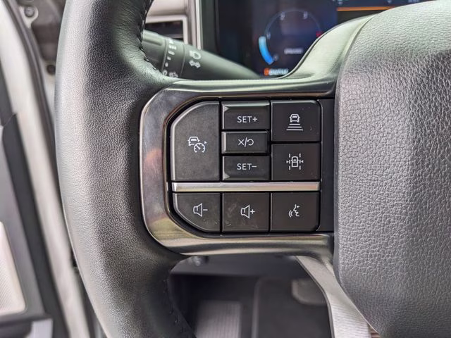 2025 Avalanche Ford Super Duty F-450 DRW Platinum 4X4 Truck