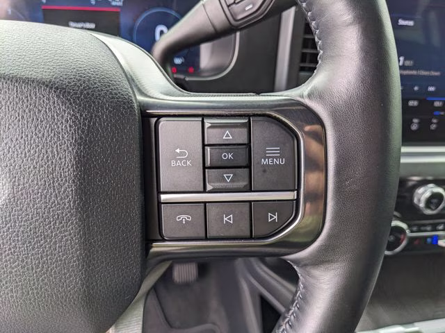 2025 Avalanche Ford Super Duty F-450 DRW Platinum 4X4 Truck