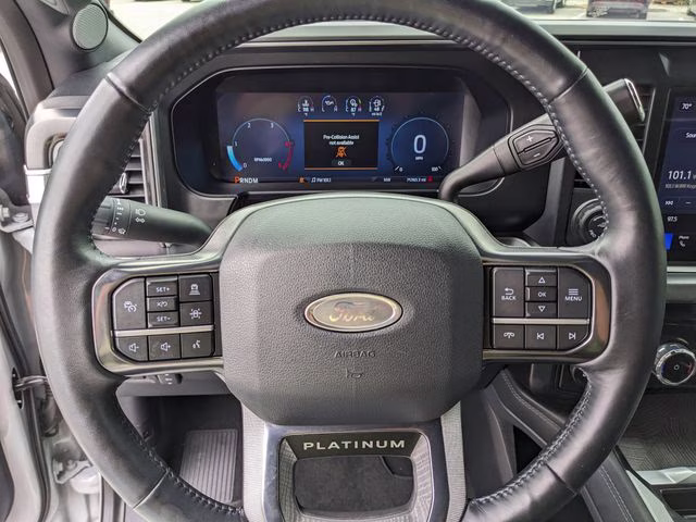 2025 Avalanche Ford Super Duty F-450 DRW Platinum 4X4 Truck