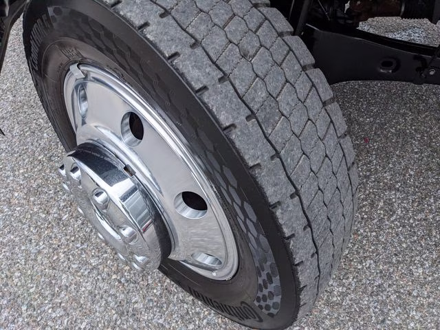2025 Avalanche Ford Super Duty F-450 DRW Platinum 4X4 Truck